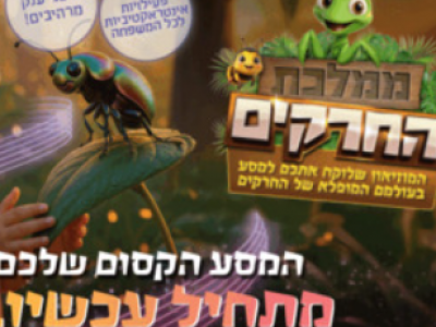  Увлекательное путешествие по миру насекомых!