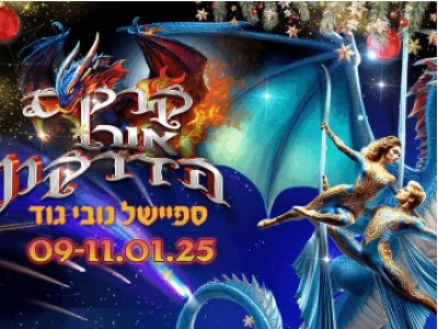 Особый новый год — Цирк Свет Дракона