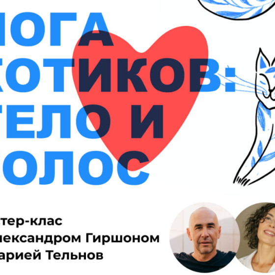 Йога котиков: тело и голос