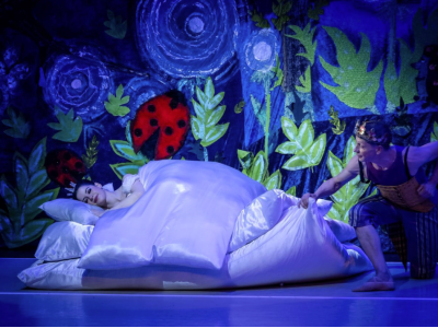 Балет «Принцесса на горошине — Новогодние приключения»