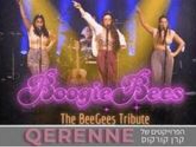 BoogieBees — посвящение Bee Gees