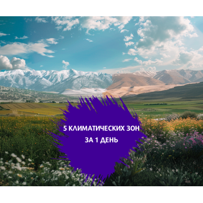 От снега до пустыни... Израильские климатические чудеса