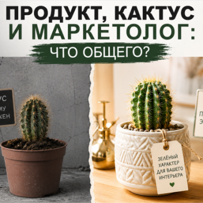 Продукт, кактус и маркетолог - что общего?