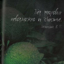 13.Натуральные витамины FitLine