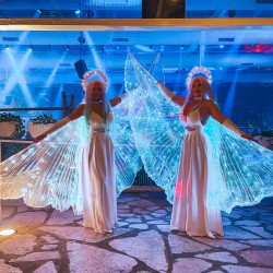 Танцовщицы со светящимися крыльями - шоу-программа