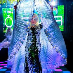 Перформанс с LED-крыльями - танцовщицы и световое шоу