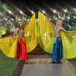 Танцовщицы с LED-крыльями - шоу на торжество