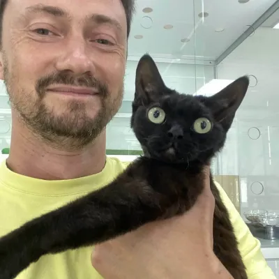 Отель для кошек "Мир Мяу"