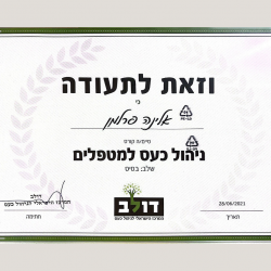 11.Диплом- Курс управления гневом для специалистов