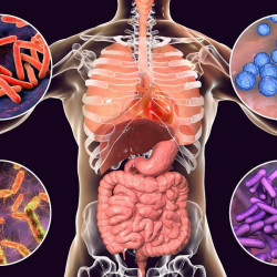 04.Диагностика организма по системе У-Син