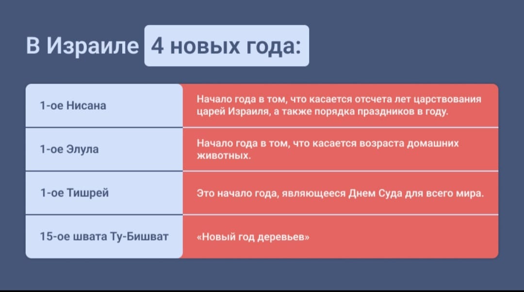 Фото Почему Новый год деревьев в Израиле - это праздник про нас – Блог SarafanPro