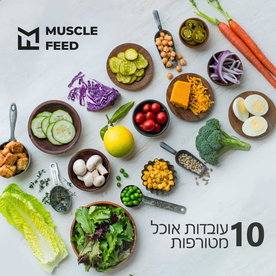 Фото Muscle Feed - бизнес по доставке еды и поддержка армии Израиля – Блог SarafanPro