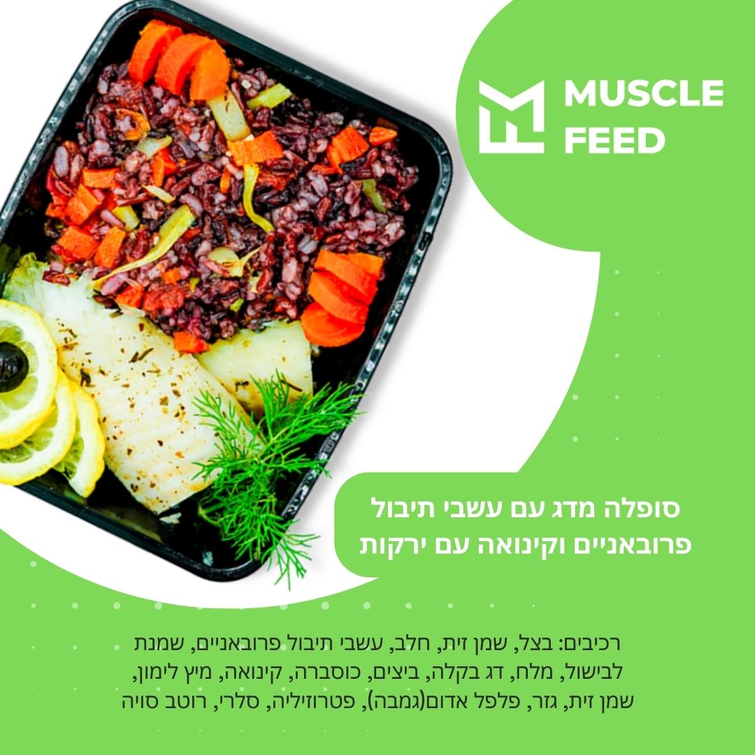 Фото Muscle Feed - бизнес по доставке еды и поддержка армии Израиля – Блог SarafanPro